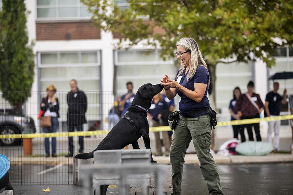 working dog and trainer outside demonstrating