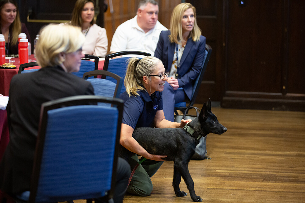 black working dog and trainer about to demonstrate search and rescue skills